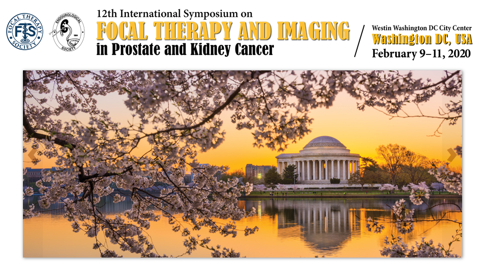 12th International Symposium on Focal Therapy and Imaging in Prostate and Kidney Cancer